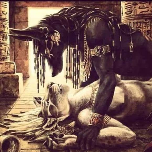 Meet your Posher, Roderick - Picture 1 of 1